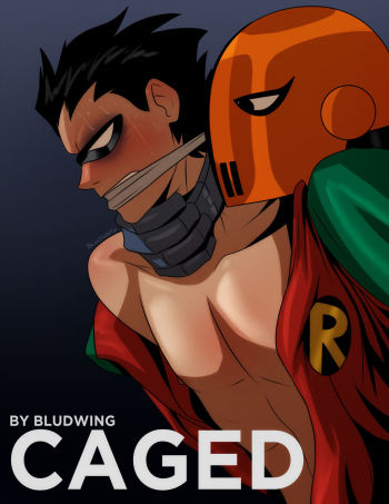 [Bludwing] Caged (Teen Titans) cover