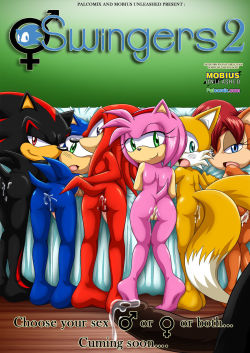Swingers 2 Sonic The Hedgehog (Palcomix)