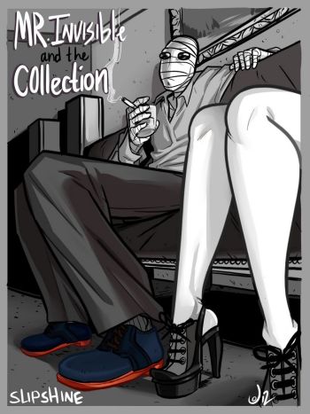 Mr Invisible And The Collection cover