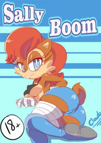 Sally Boom cover