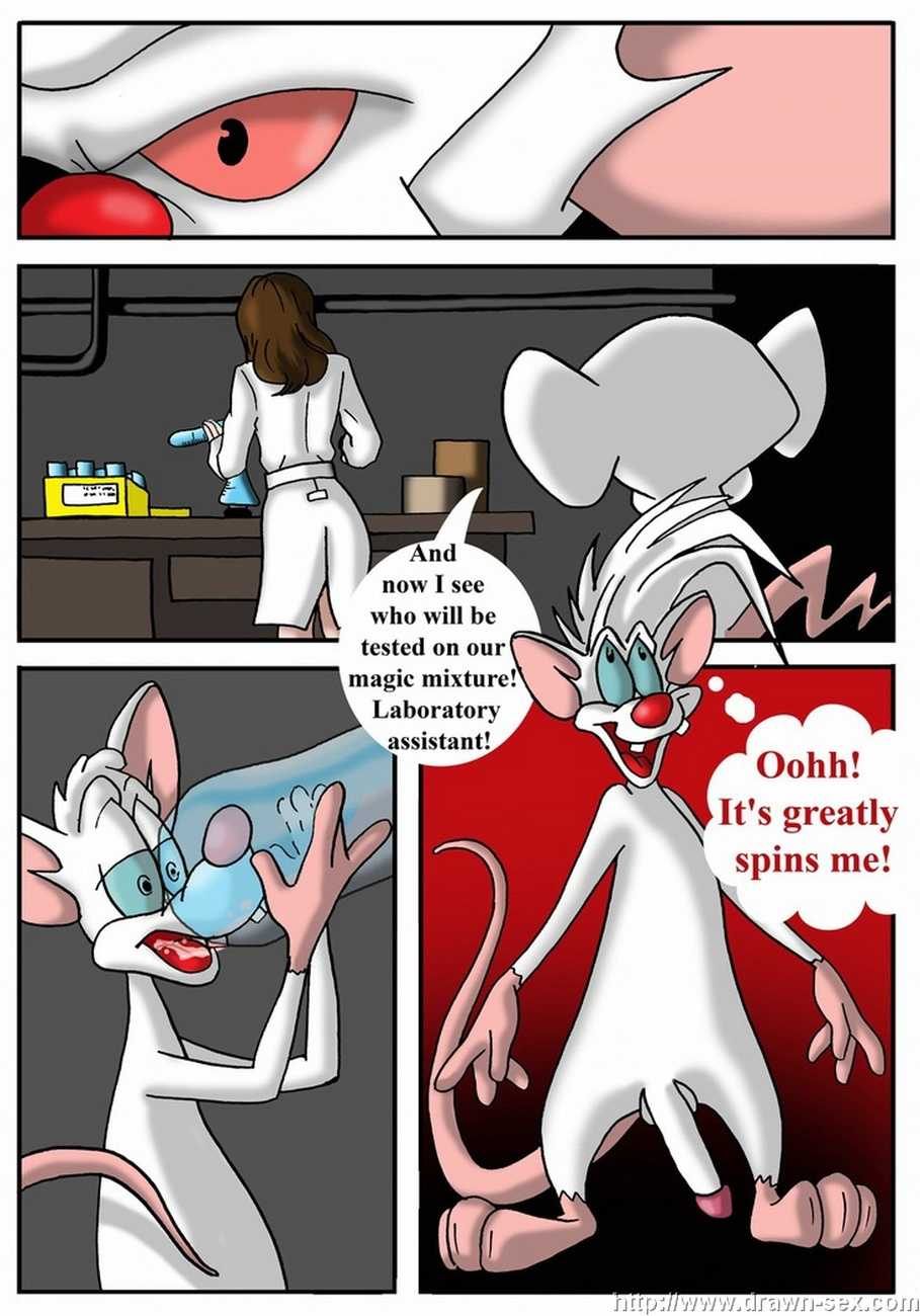 Pinky And The Brain page 4