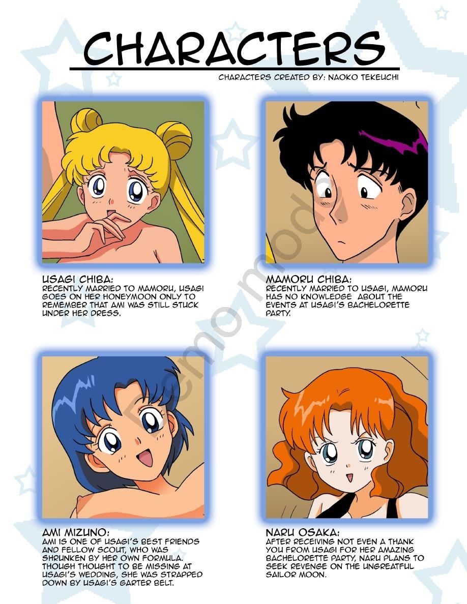 Jitensha Sailor Moon - The Honeymoon page 2