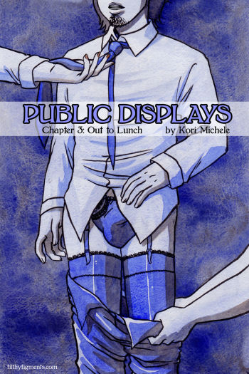 Public Displays Chapter 3 cover