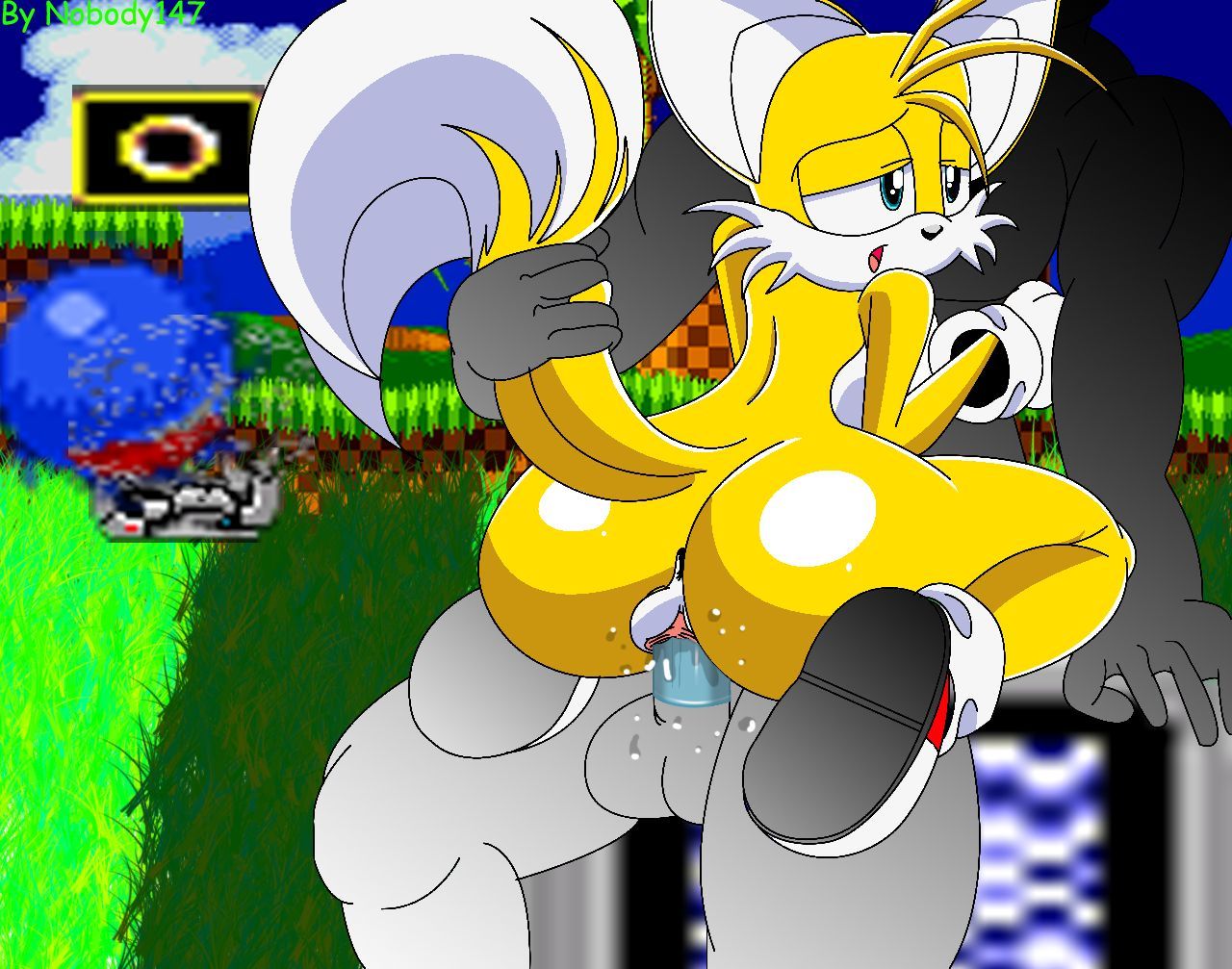 Sonic and Tails Series (Sonic The Hedgehog) page 13