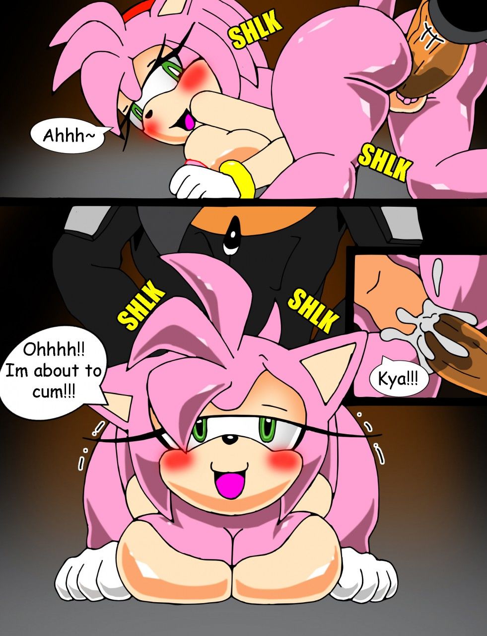 Paybacks A Rose Sonic The Hegdheog by SiNShadowed page 9