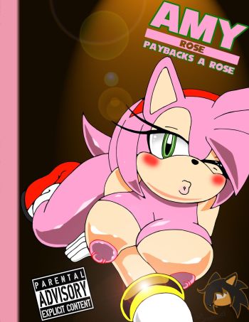 Paybacks A Rose Sonic The Hegdheog by SiNShadowed cover