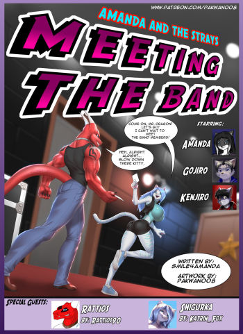 Meeting the Band - Pakwan008 cover