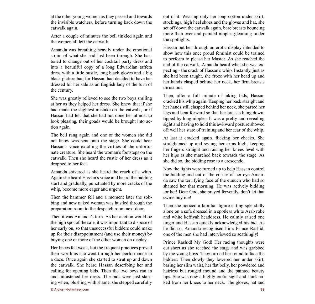 Cagri - Arabian Revenge Part 1 Allan Aldiss page 38