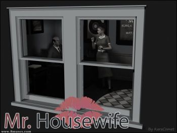 Mr. Housewife - KaraComet cover