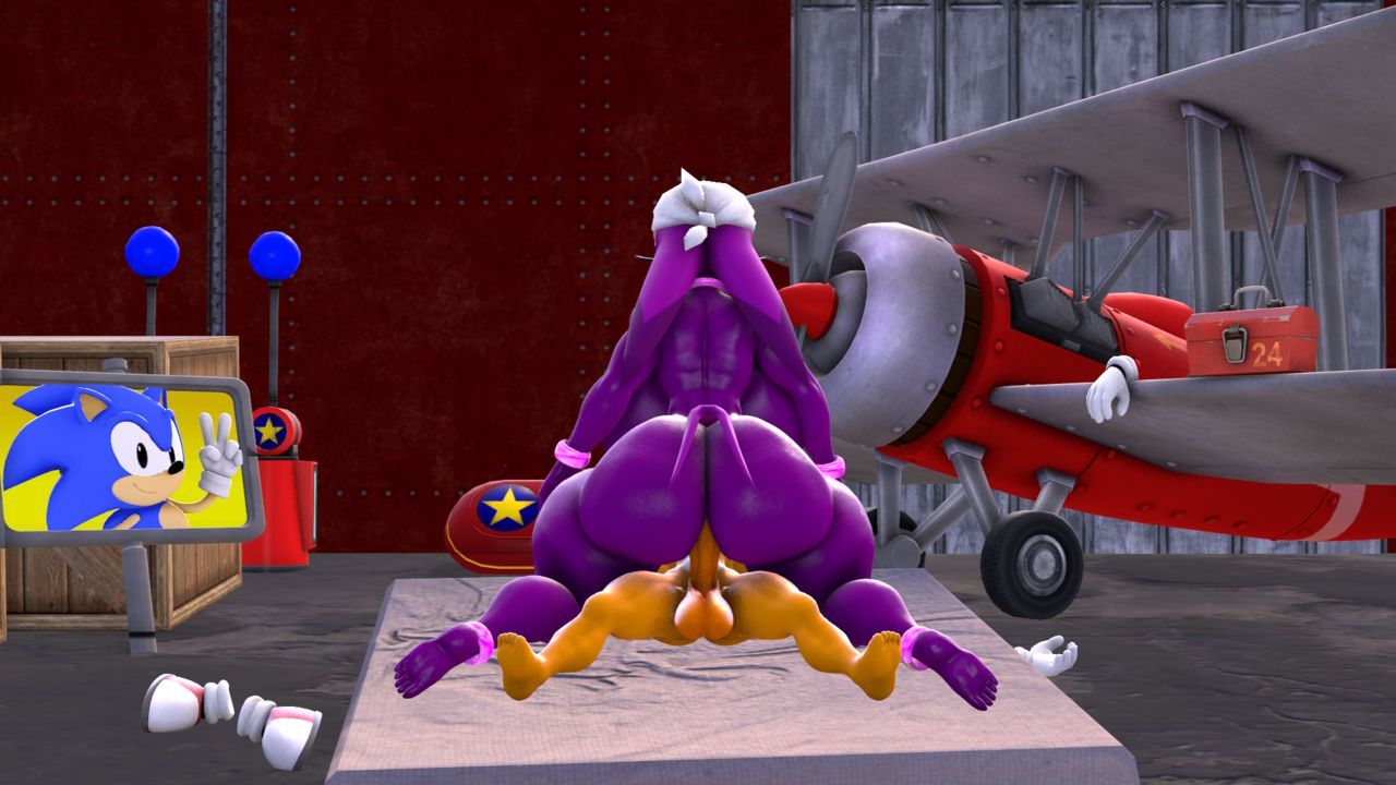 Sonic The Hedgehog Henti