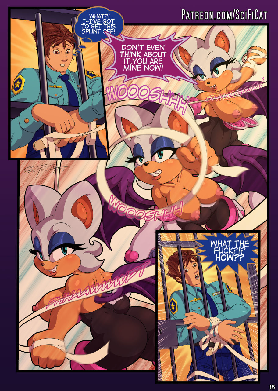 Scificat-Night of the White Bat (Sonic) page 17