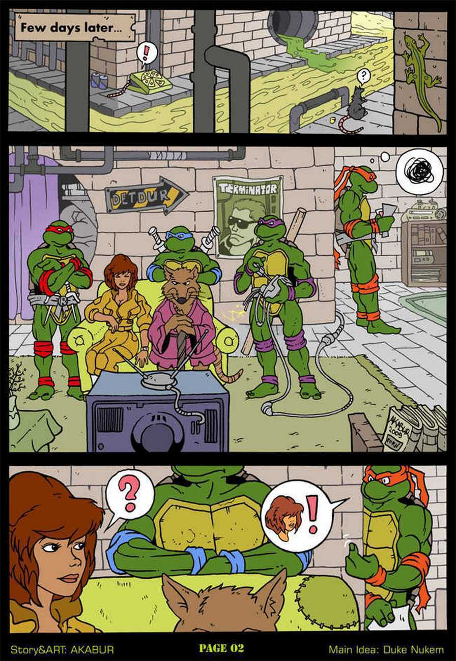 The Slut From Channel Six 1 - Teenage Mutant Ninja Turtles page 3