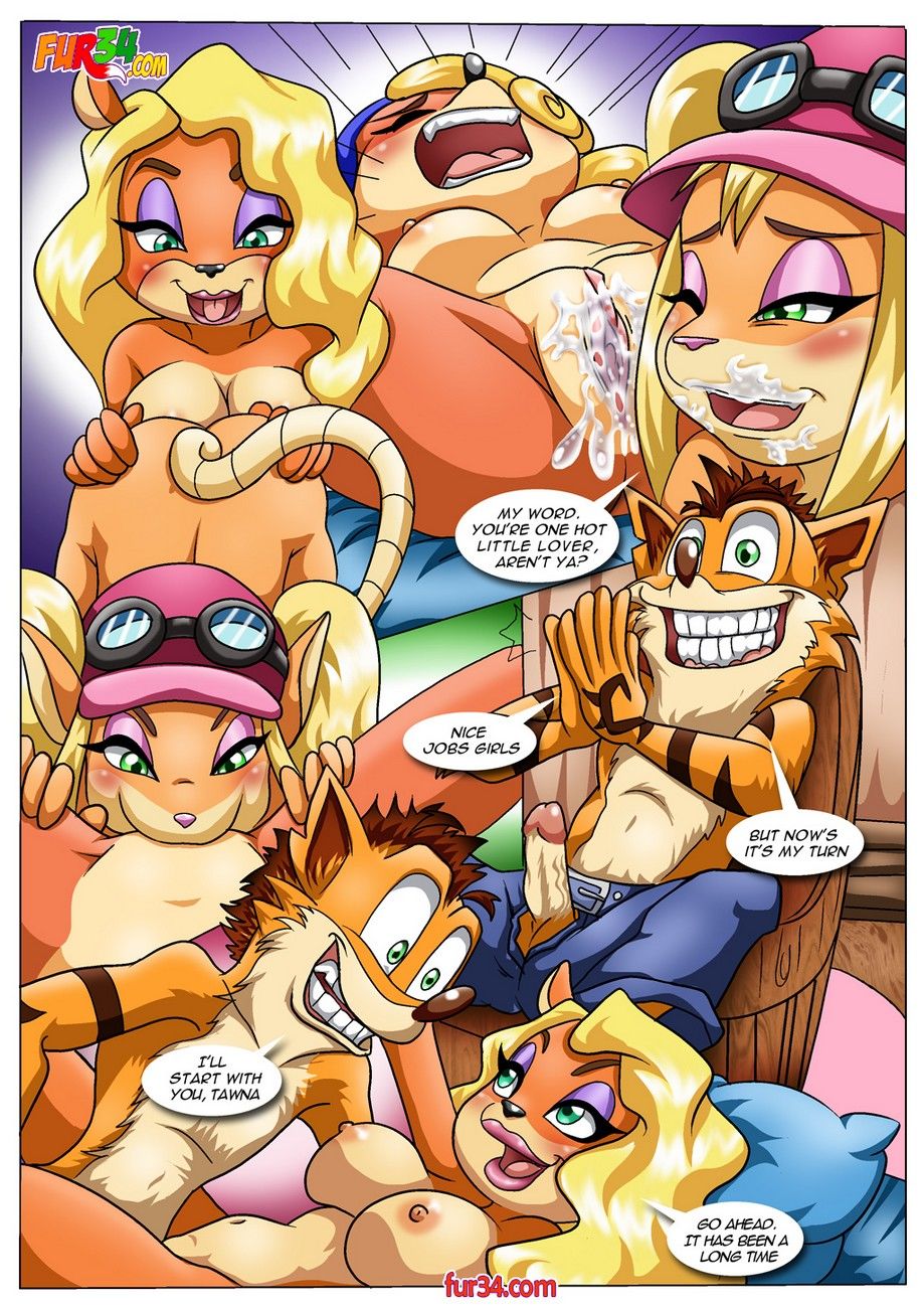 Bandicoot Experience page 5