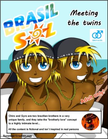 Meeting The Twins cover
