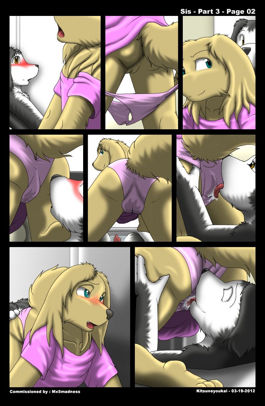 Sis page 13