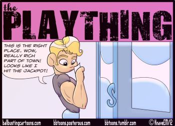 The Plaything cover