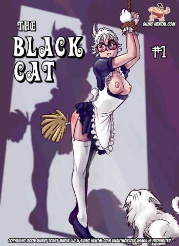 The Black Cat 1 cover