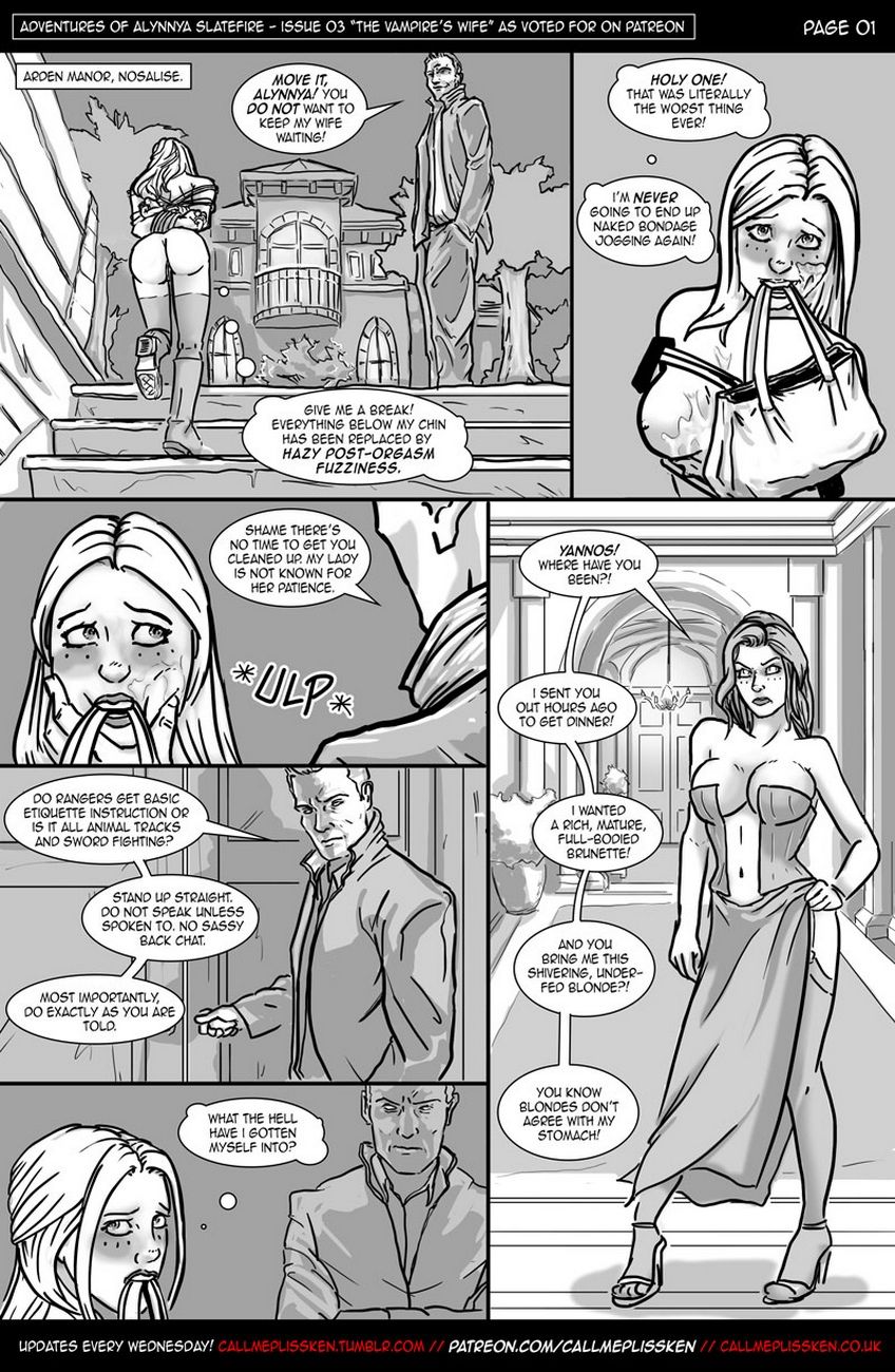 Adventures Of Alynnya Slatefire 3 page 2