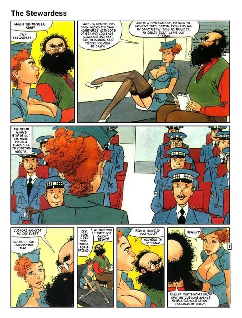 The Stewardess-Western Porn Comics page 1