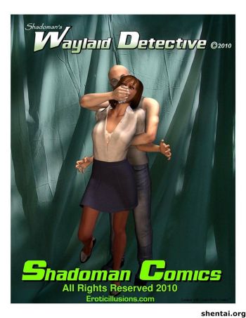 Waylaid Detective 1 cover