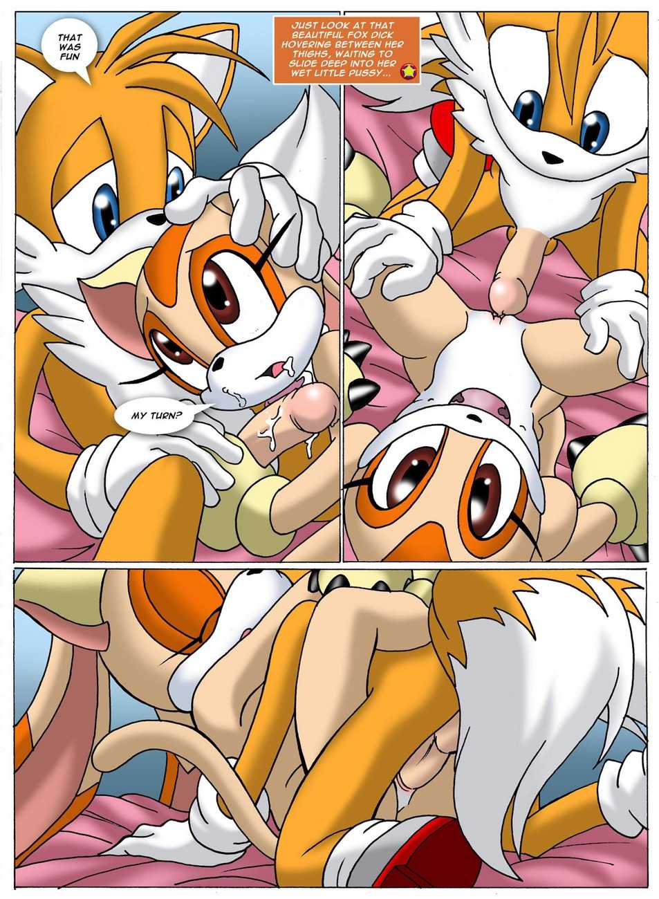 Sonic Project XXX 2 page 11
