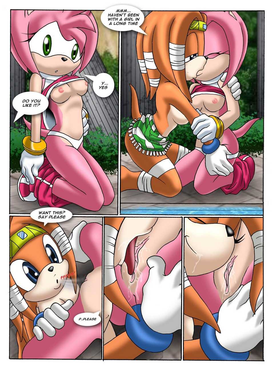 Sonic Project XXX 2 page 16