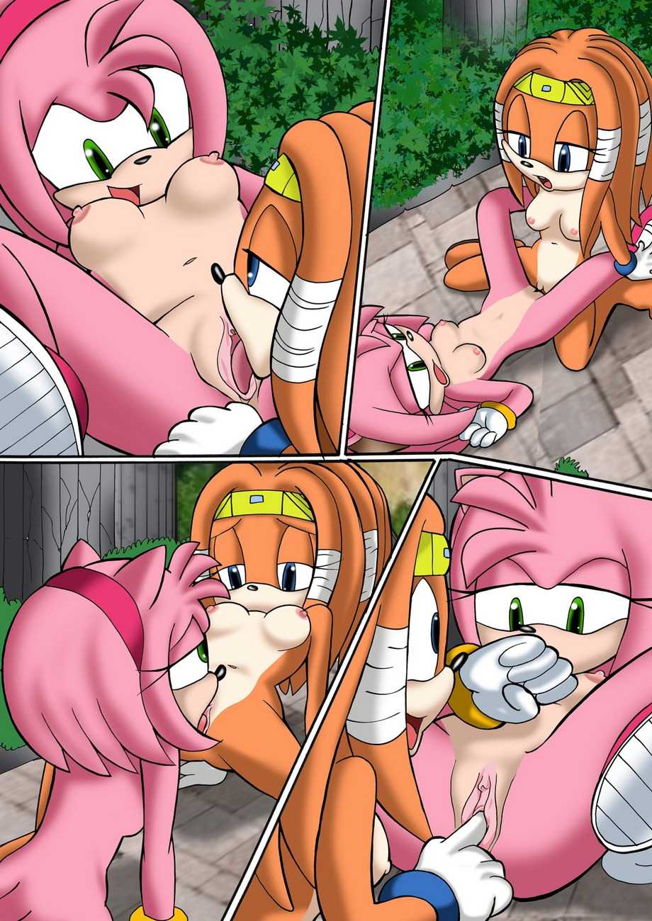 Sonic Project XXX 2 page 17