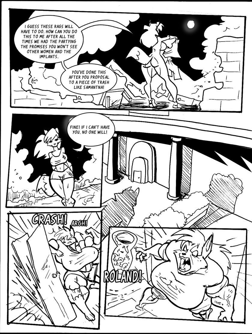 The Birth of BoomFox page 21