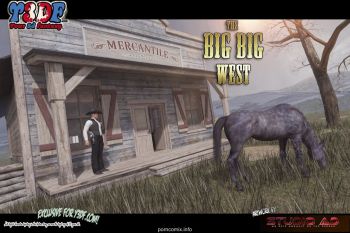 Y3DF - The Big Big West cover